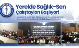 Sağlık-Sen, Yerelde Çalıştaylar ile Sağlık Çalışanlarının Sorunlarını Dinleyecek