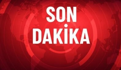 Öcalan ile görüşen DEM Parti’den bir kritik ziyaret daha